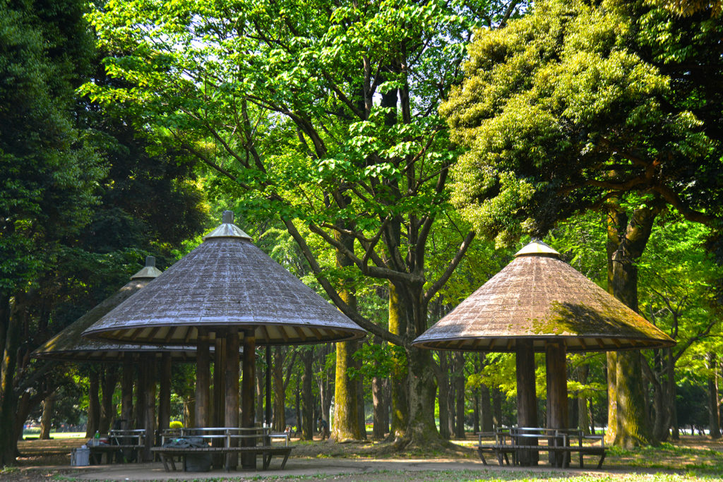 Yoyogi Park